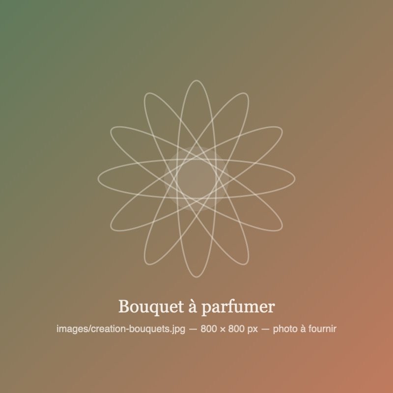 Bouquet de fleurs séchées à parfumer et gypse parfumé