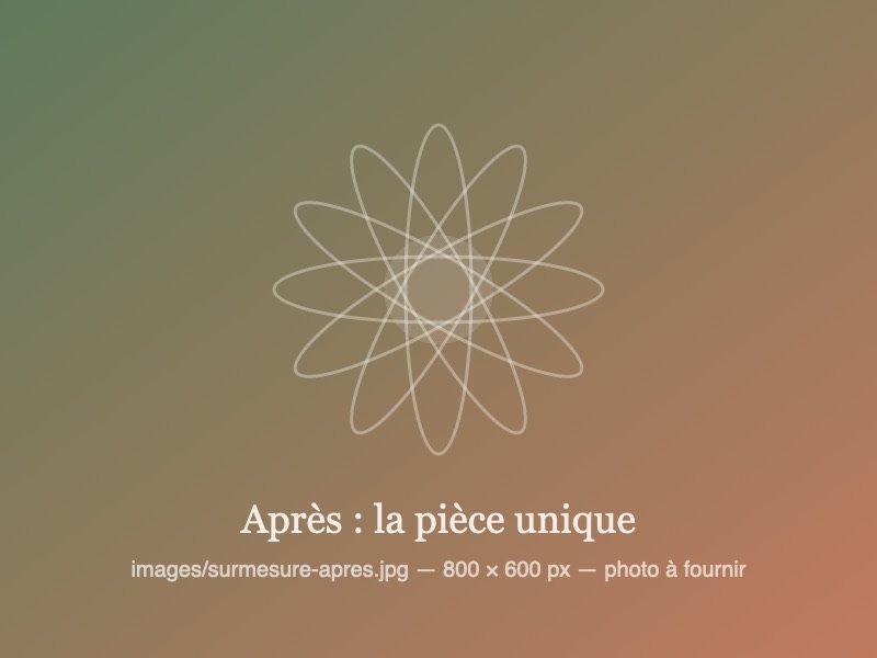 Après : le même contenant garni d'une composition de plantes grasses